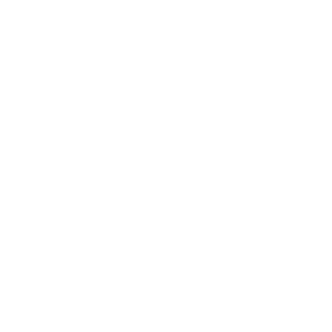 Logo Trondial